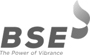 BSE logo